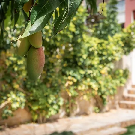 Comfortable 4-bedroom With Private Gardens * Costa Adeje (Tenerife)
